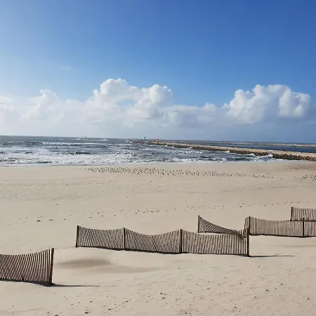 Sonhosqrodopiam Da *